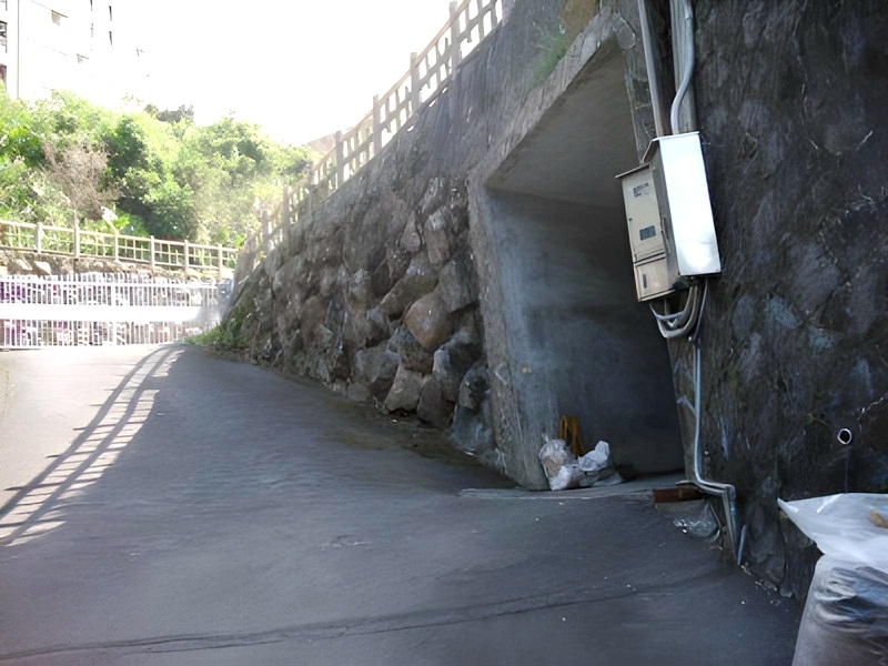 雙併別墅【海誓山盟】小坪頂100巷15號 法拍屋照片10